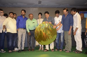 Mister 420 Movie Audio Launch
